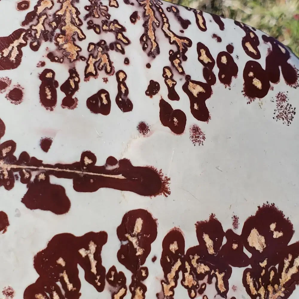 Picture Stone Jasper Dendritic Dendrite Display Freeform 706 Gram